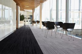BST Elegance là một phần của Root Series với bộ sưu tập Sense