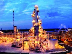 CUNG CẤP GẠCH  ARGELITH VÀ KEO ARDEX CHO NHÀ MÁY ĐẠM CÀ MAU