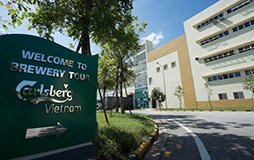 CUNG CẤP GẠCH ARGELITH VÀ KEO CHÀ RON ARDEX EG 15 DỰ ÁN NHÀ MÁY BIA CARLSBERG HUẾ