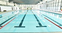 GIẢI PHÁP CHỐNG THẤM CHO BỂ BƠI ARDEX