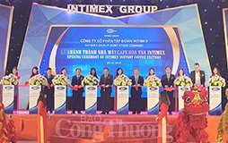 HOÀN THIỆN SÀN NÂNG HPL CHỐNG TĨNH ĐIỆN – NHÀ MÁY INTIMEX