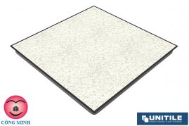 SÀN NÂNG KỸ THUẬT CHỐNG TĨNH ĐIỆN - UNITILE ẤN ĐỘ - LFW