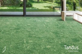 BST thảm Sprout đồng cỏ mùa xuân